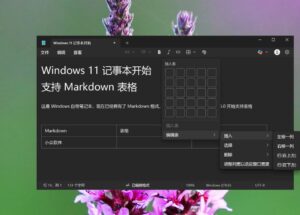 微軟被帶跑偏？Windows 11 記事本開始支持 Markdown 表格 25