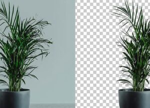 摳圖不求人！Aiarty Image Matting 黑五特惠，為效率工作者打造的精準(zhǔn)摳圖方案 11